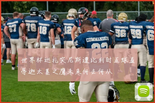 世界杯巡礼突尼斯遭比利时五球羞辱迦太基之鹰未来何去何从
