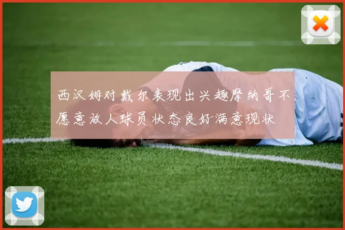西汉姆对戴尔表现出兴趣摩纳哥不愿意放人球员状态良好满意现状