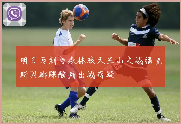 明日马刺与森林狼天王山之战福克斯因脚踝酸痛出战存疑