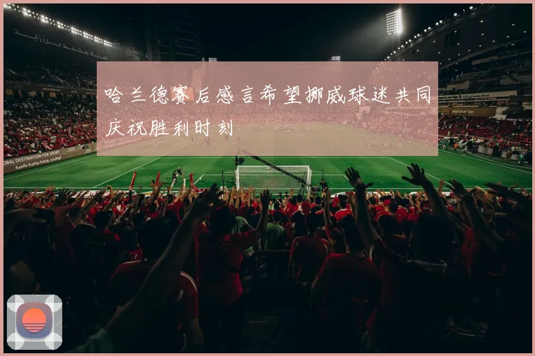 哈兰德赛后感言希望挪威球迷共同庆祝胜利时刻